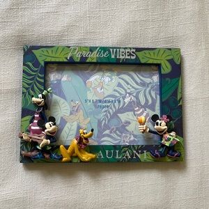 Hawaii Disney Aulani Frame